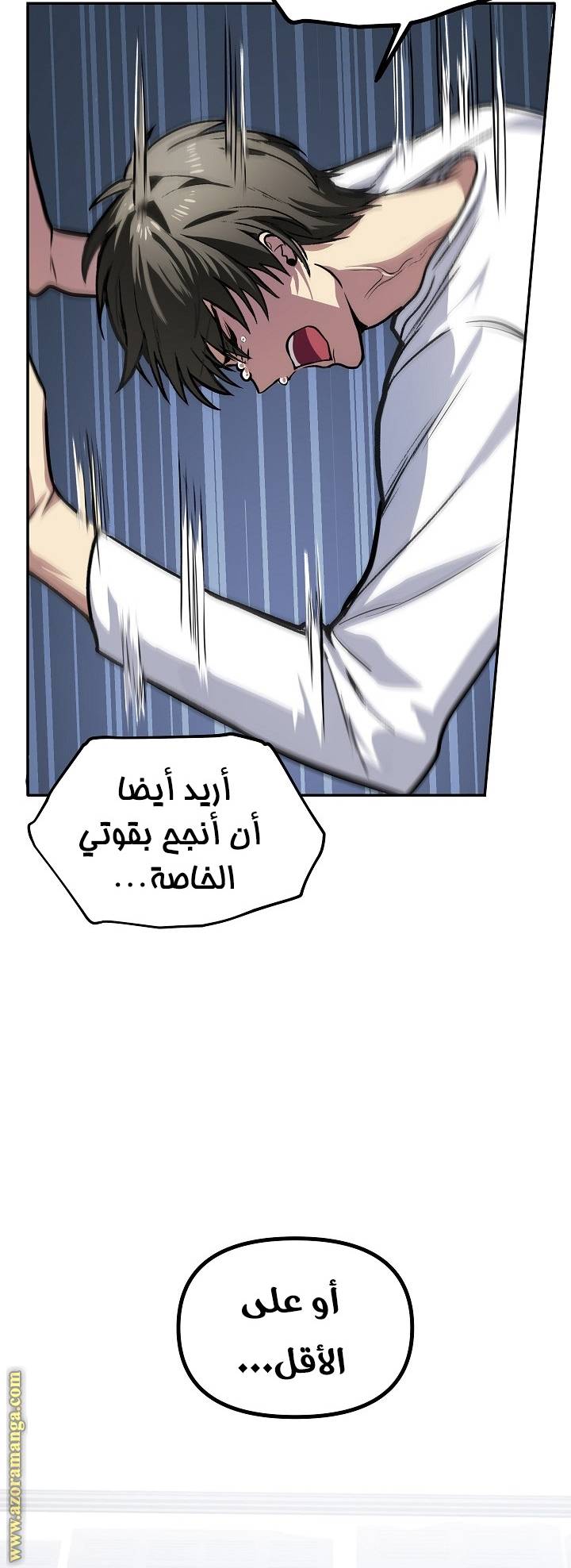 الصفحة 29