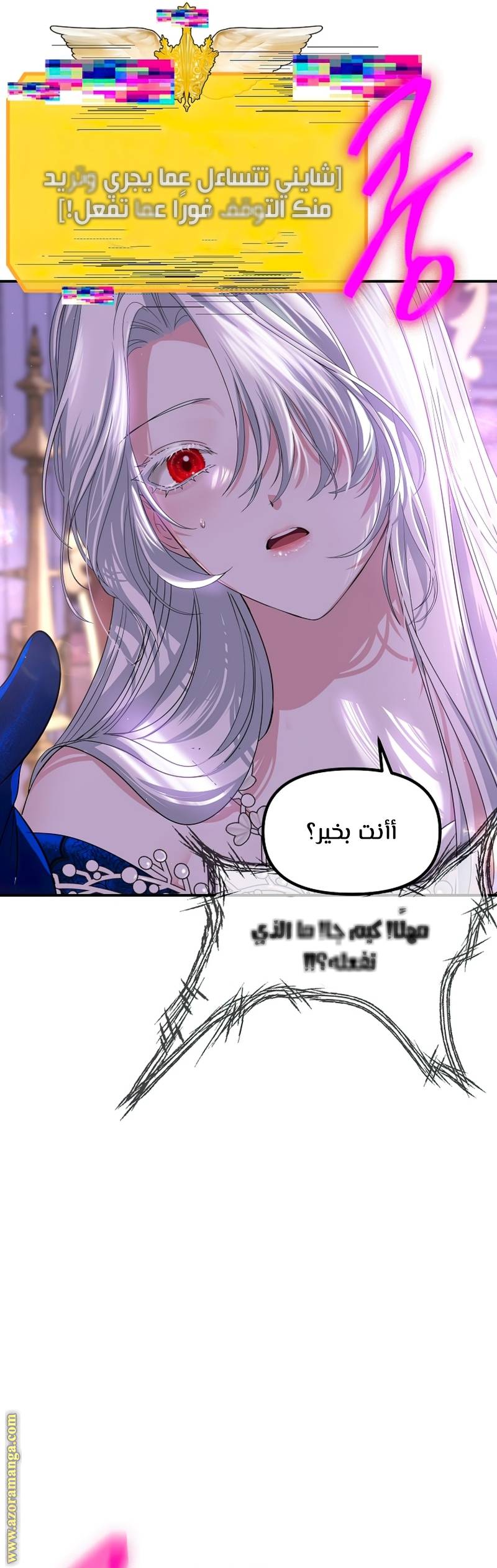 الصفحة 13