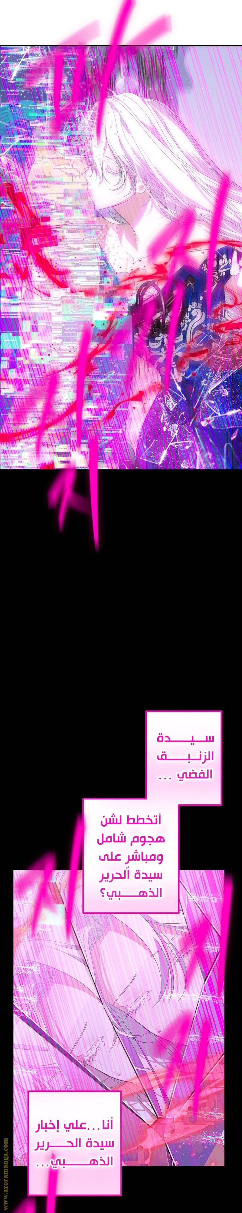 الصفحة 25
