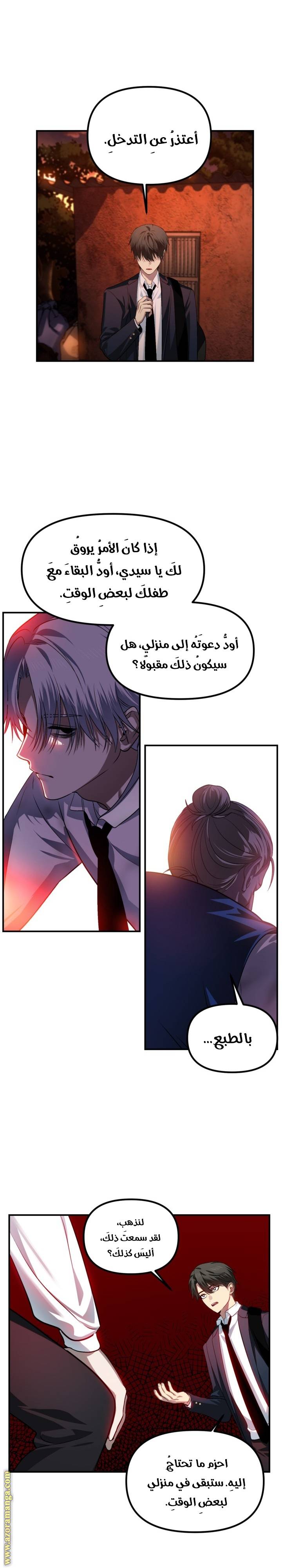 الصفحة 17