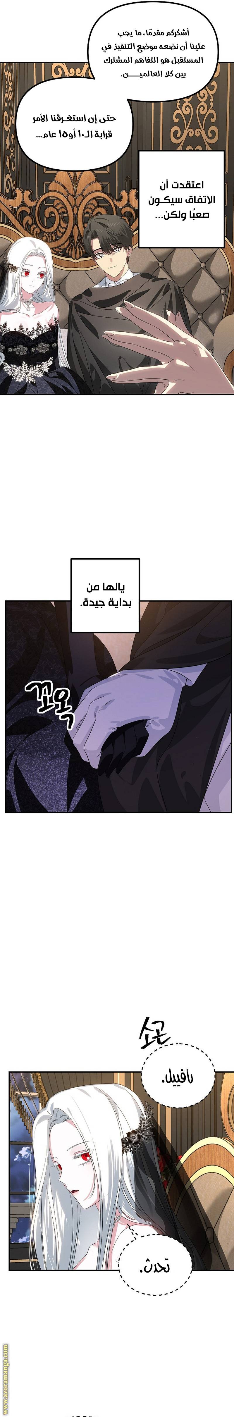 الصفحة 13