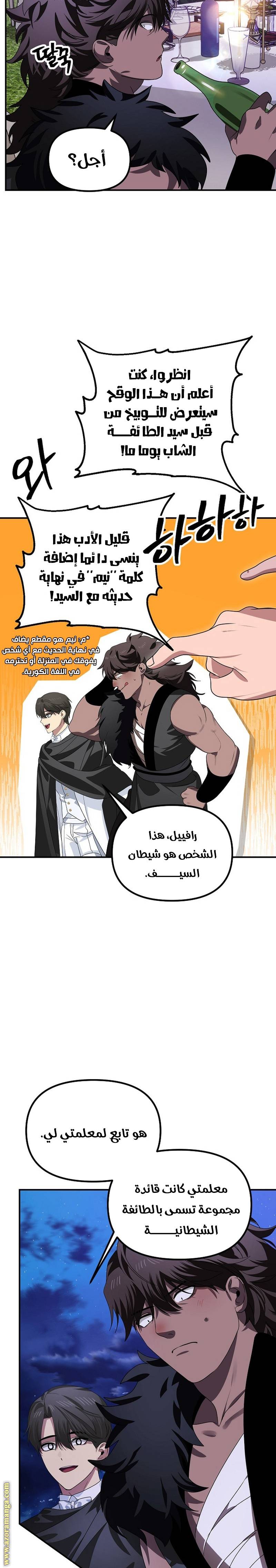 الصفحة 17