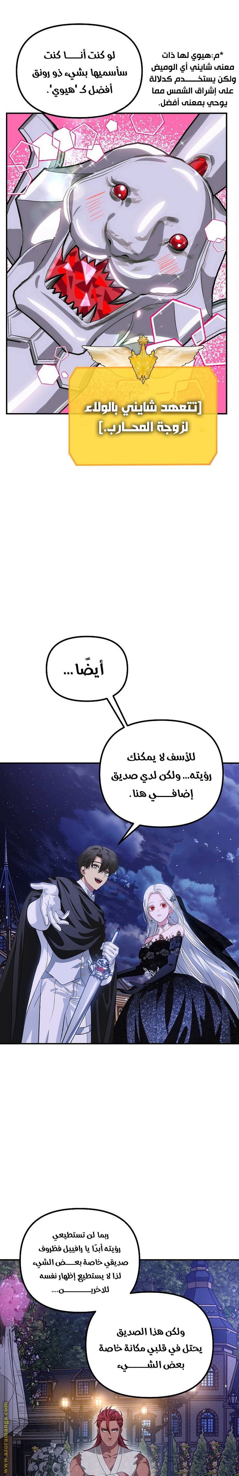 الصفحة 22