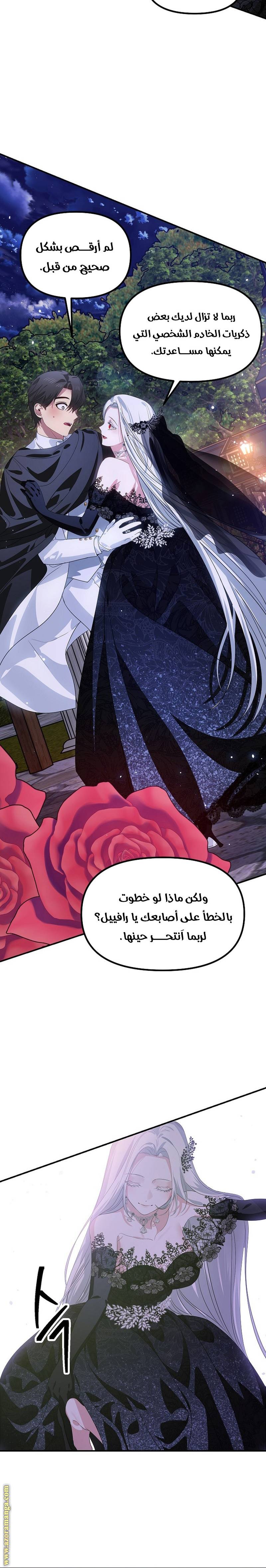 الصفحة 27