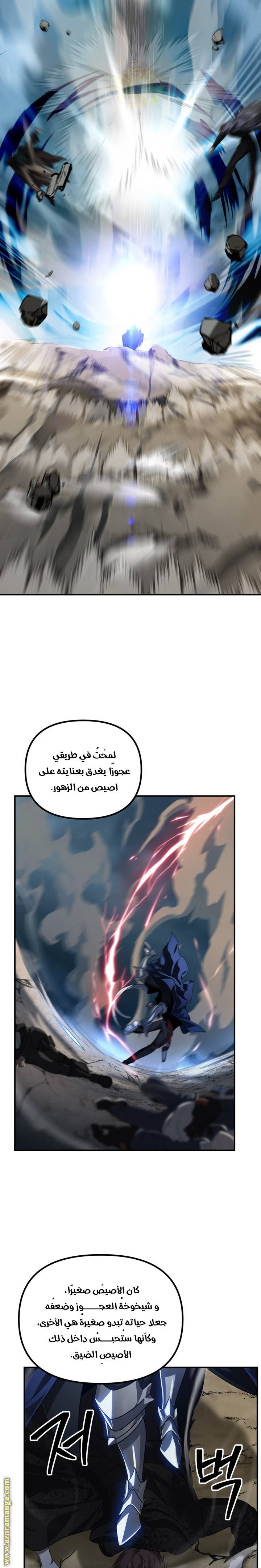 الصفحة 13