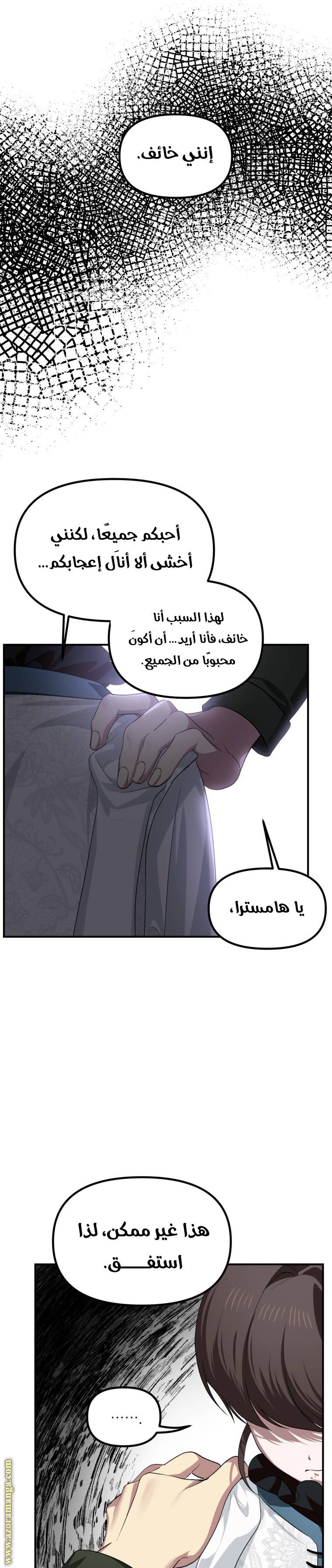 الصفحة 17