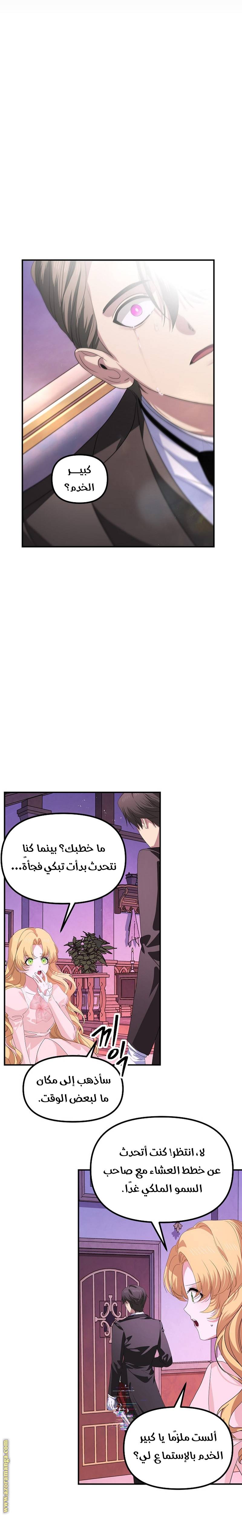 الصفحة 13