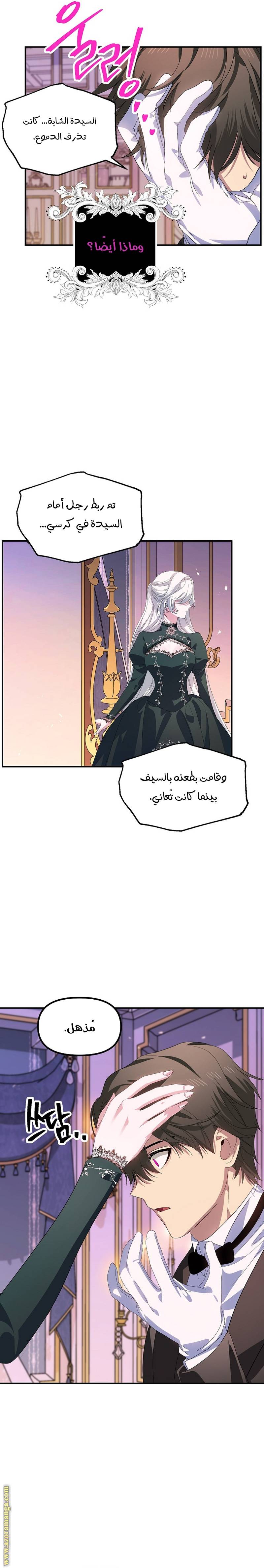 الصفحة 17
