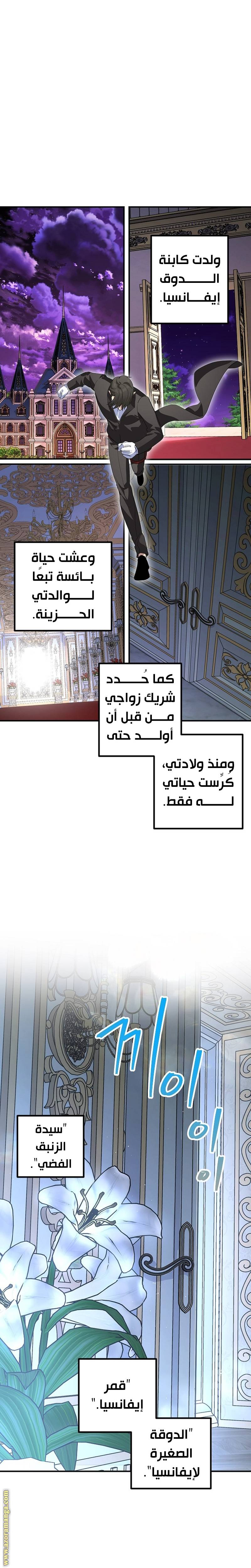 الصفحة 23