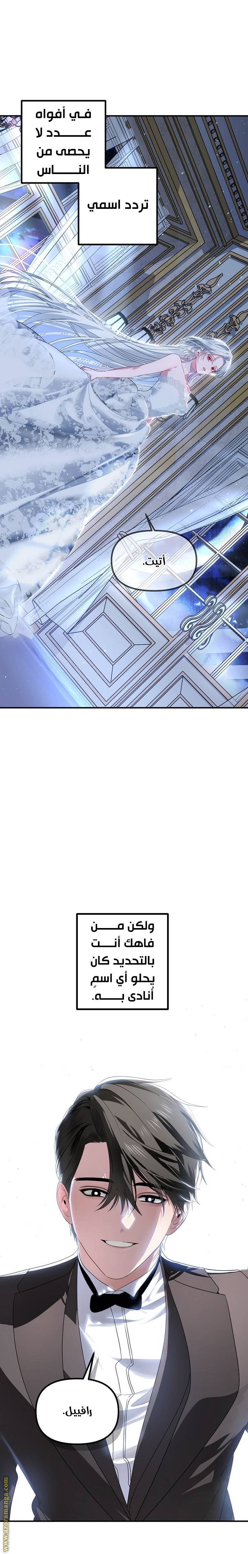 الصفحة 24