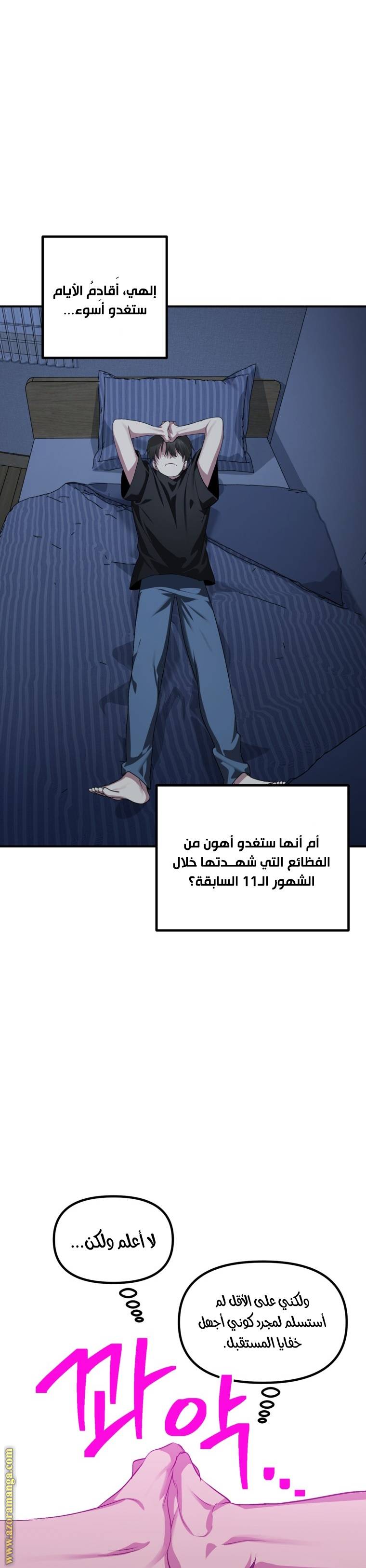 الصفحة 27