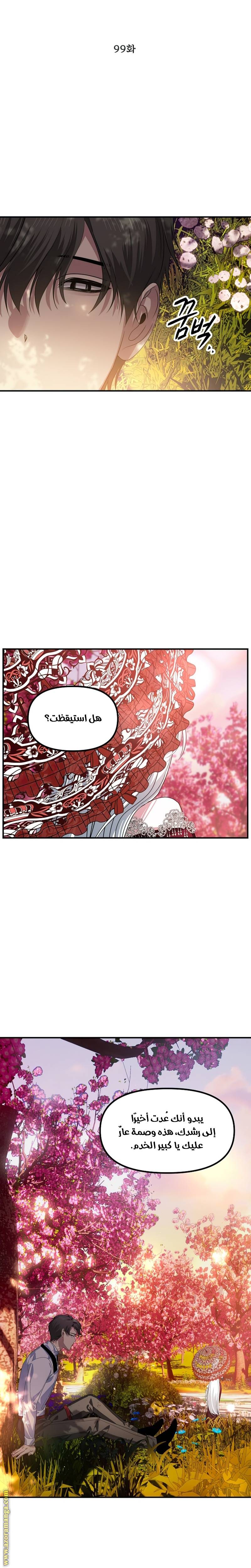 الصفحة 12