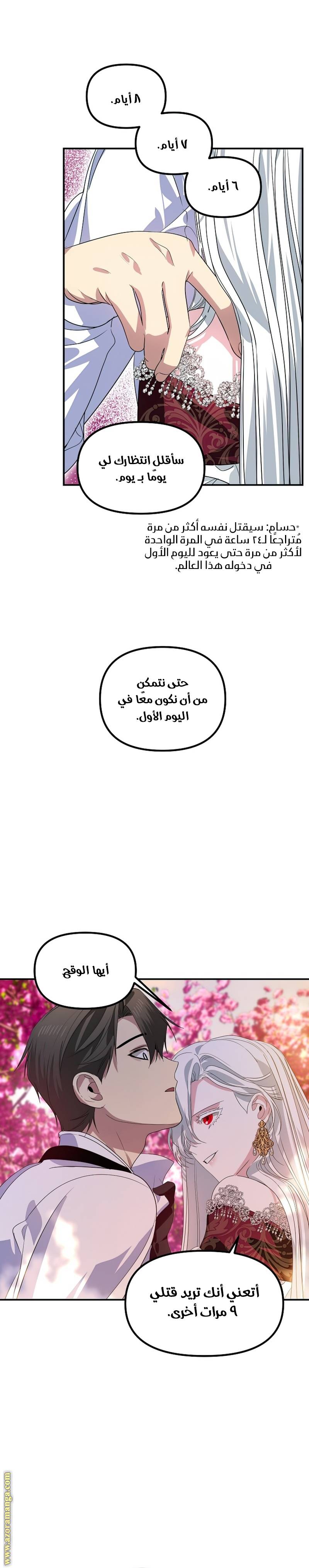 الصفحة 17