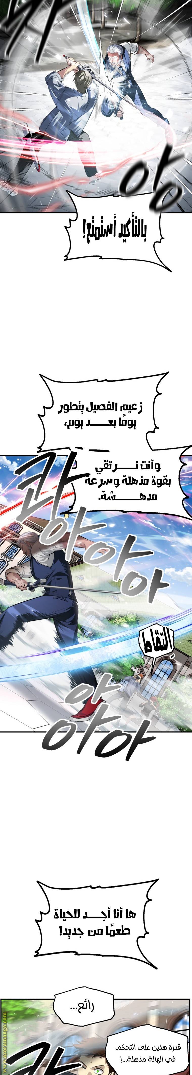 الصفحة 17