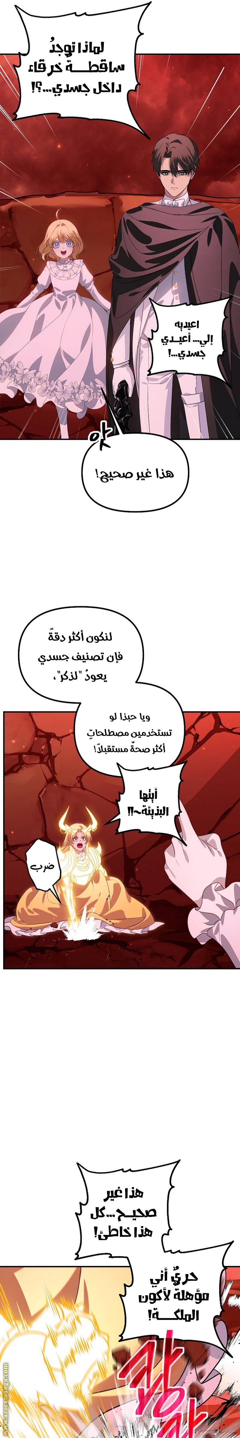 الصفحة 7