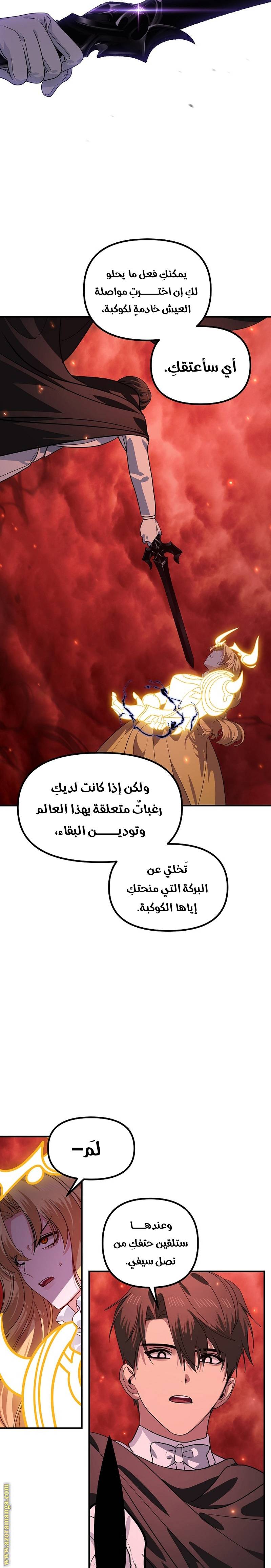 الصفحة 11