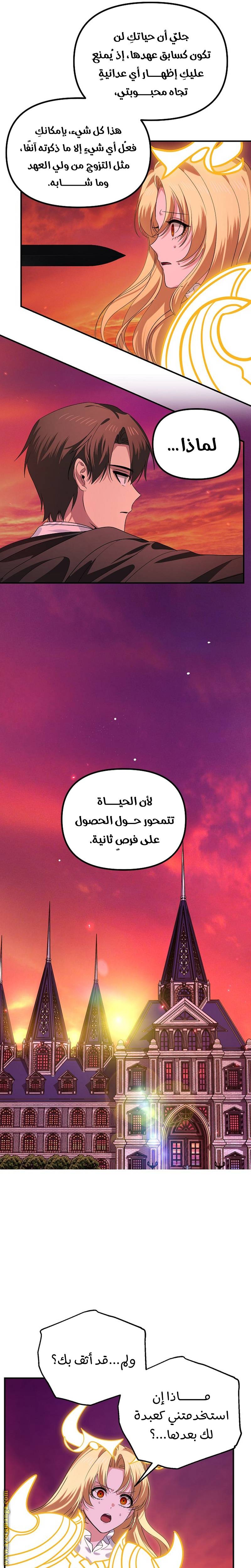 الصفحة 13
