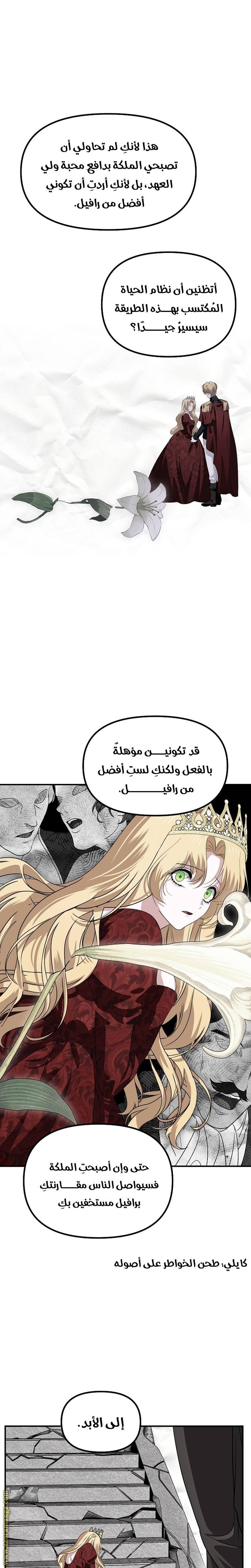 الصفحة 16