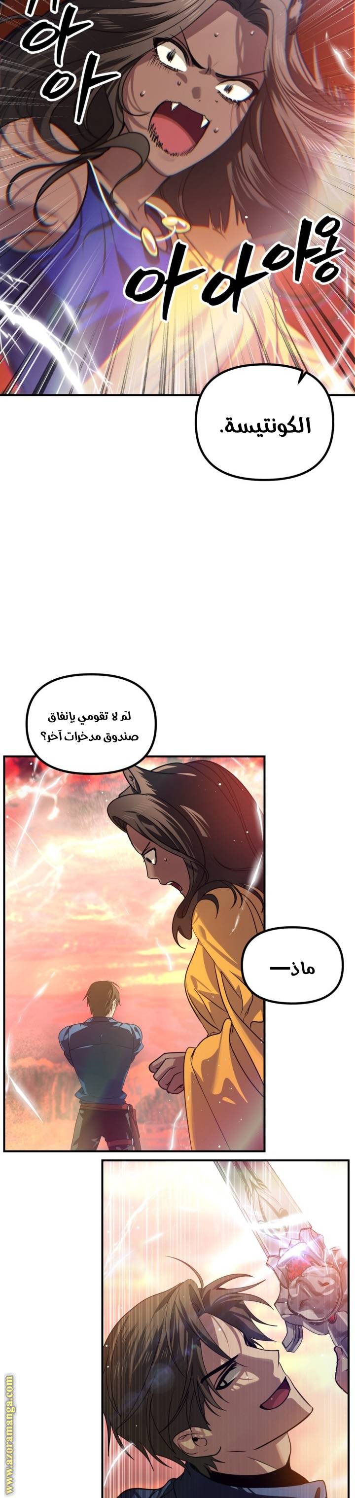 الصفحة 26