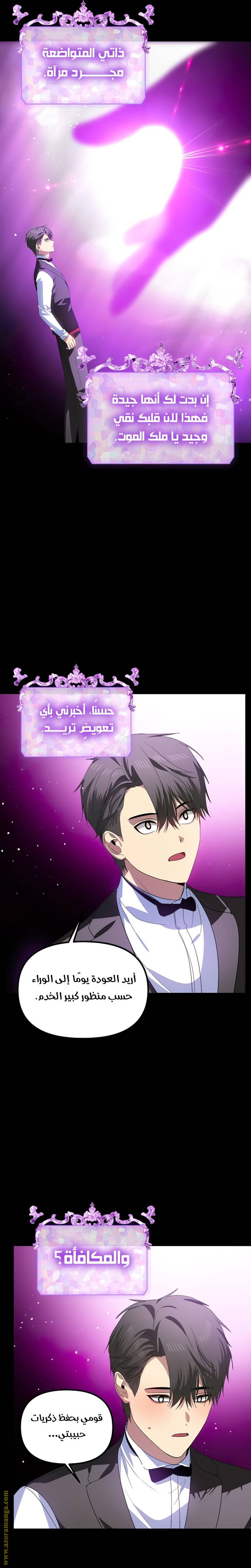 الصفحة 29