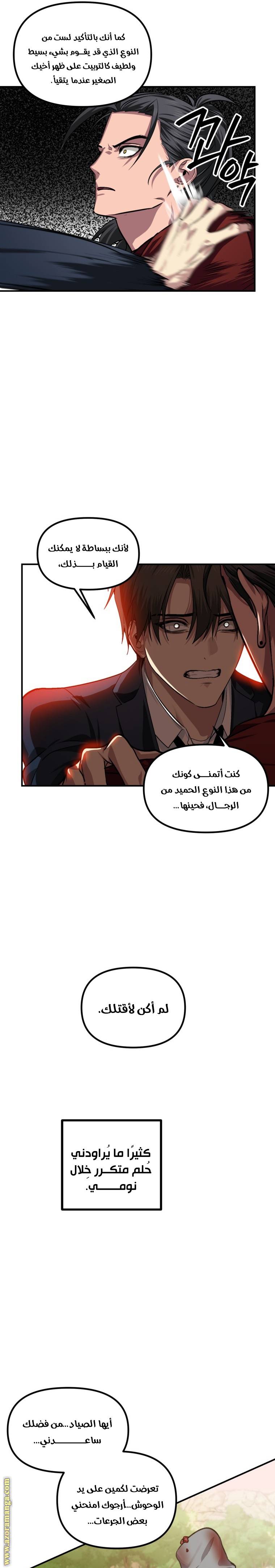 الصفحة 13