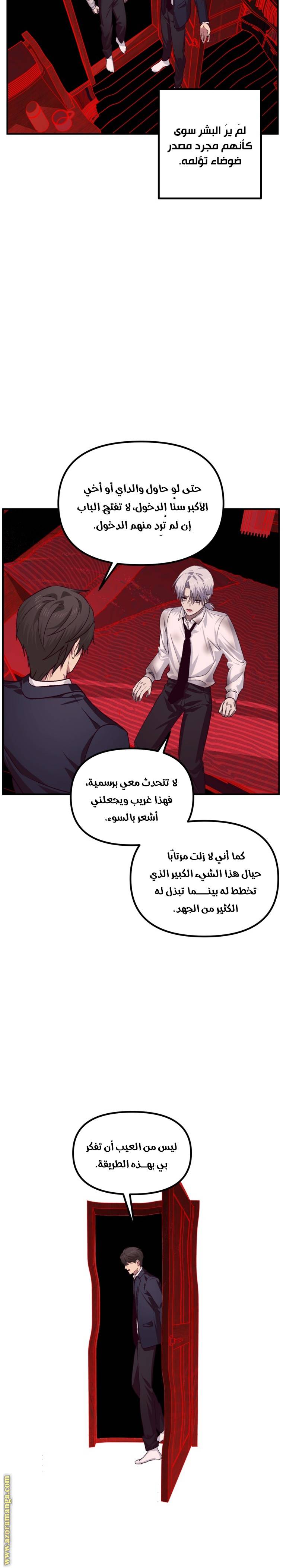 الصفحة 17