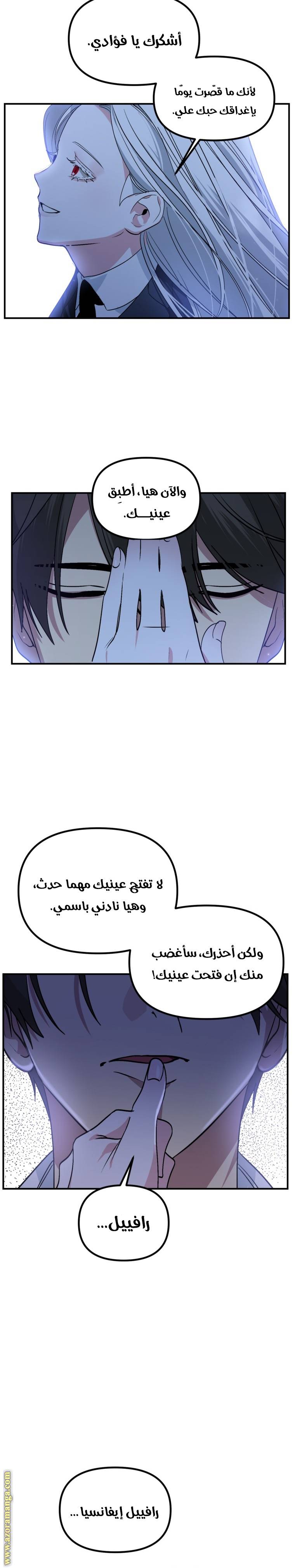 الصفحة 27