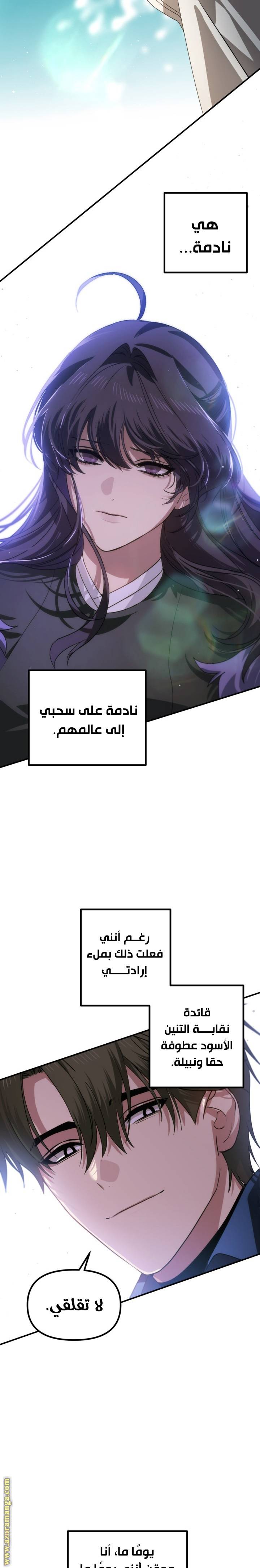 الصفحة 17