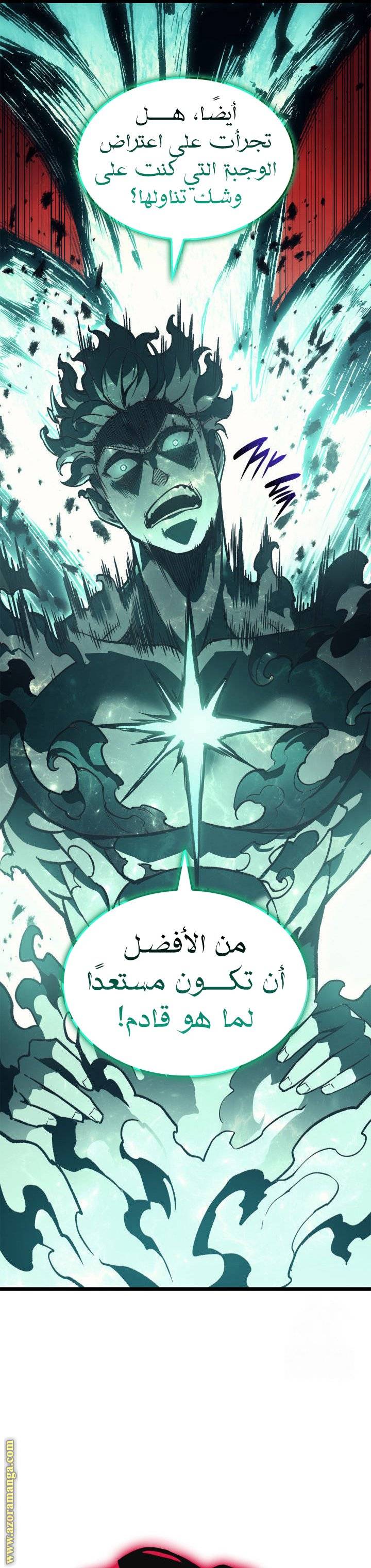 الصفحة 13