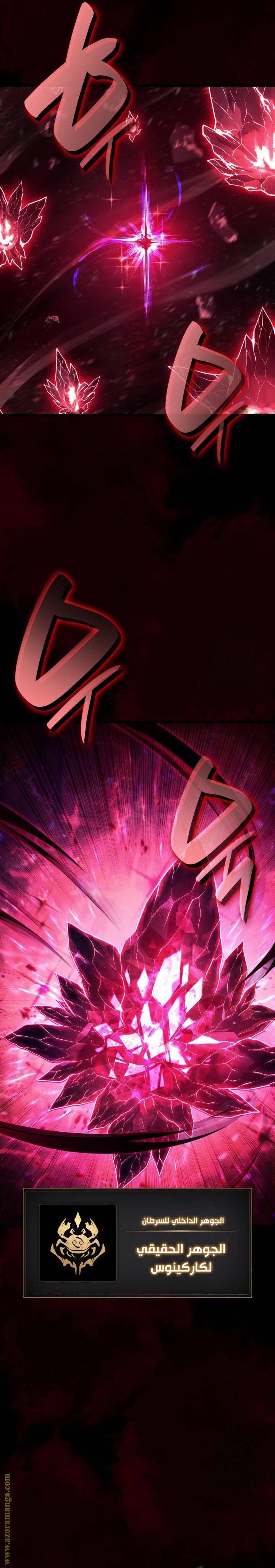 الصفحة 11