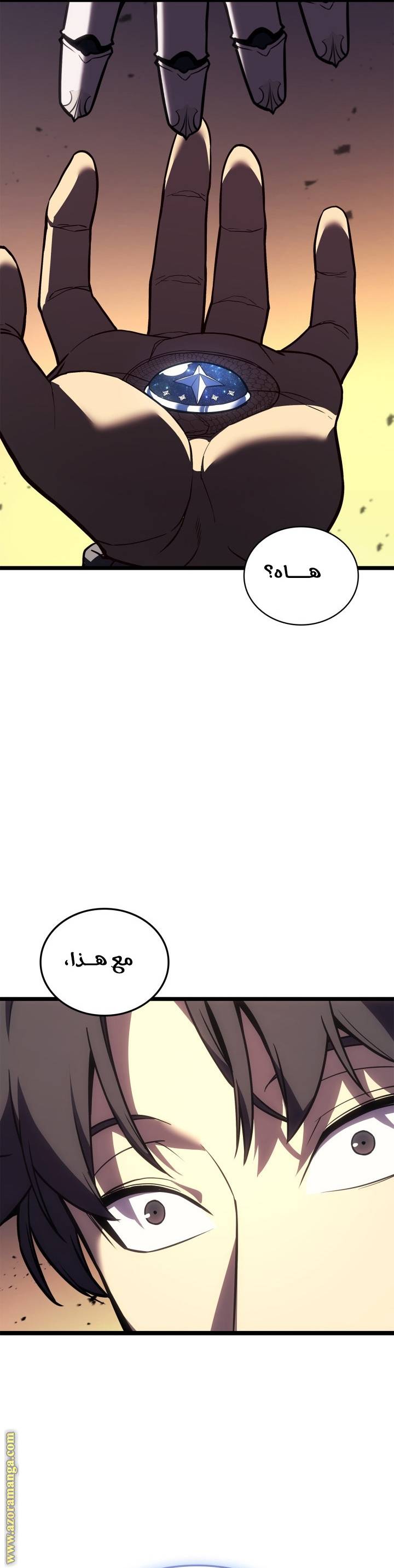 الصفحة 3