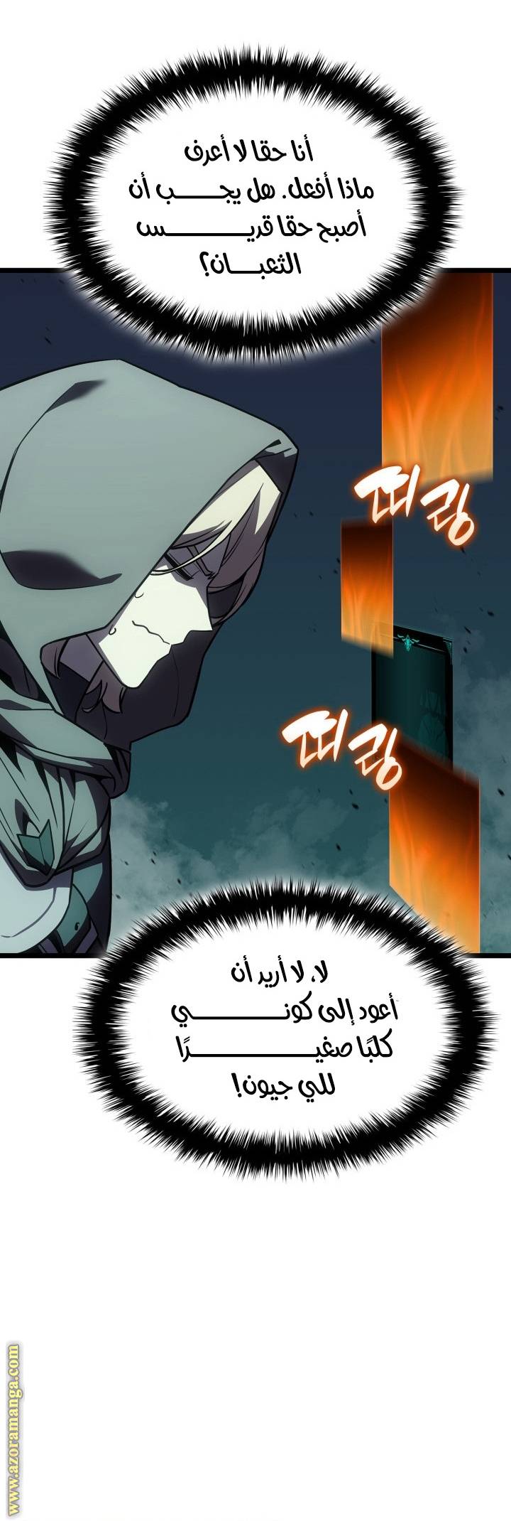 الصفحة 30