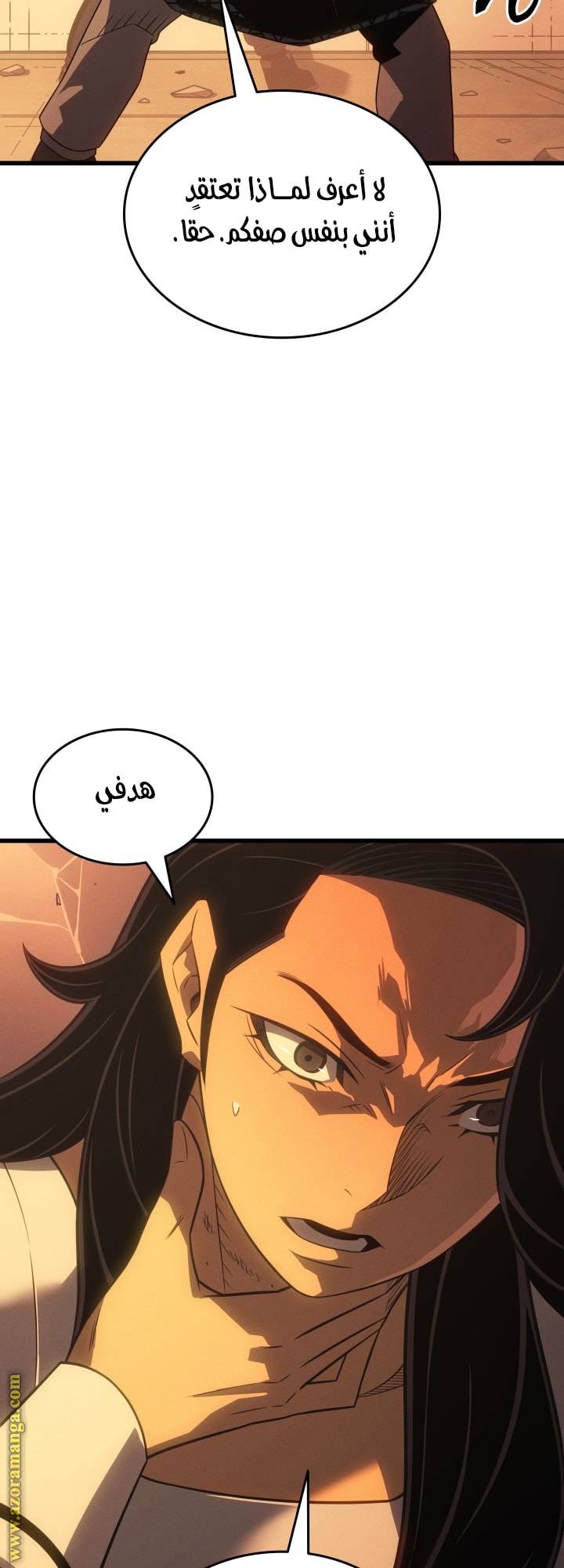 الصفحة 17