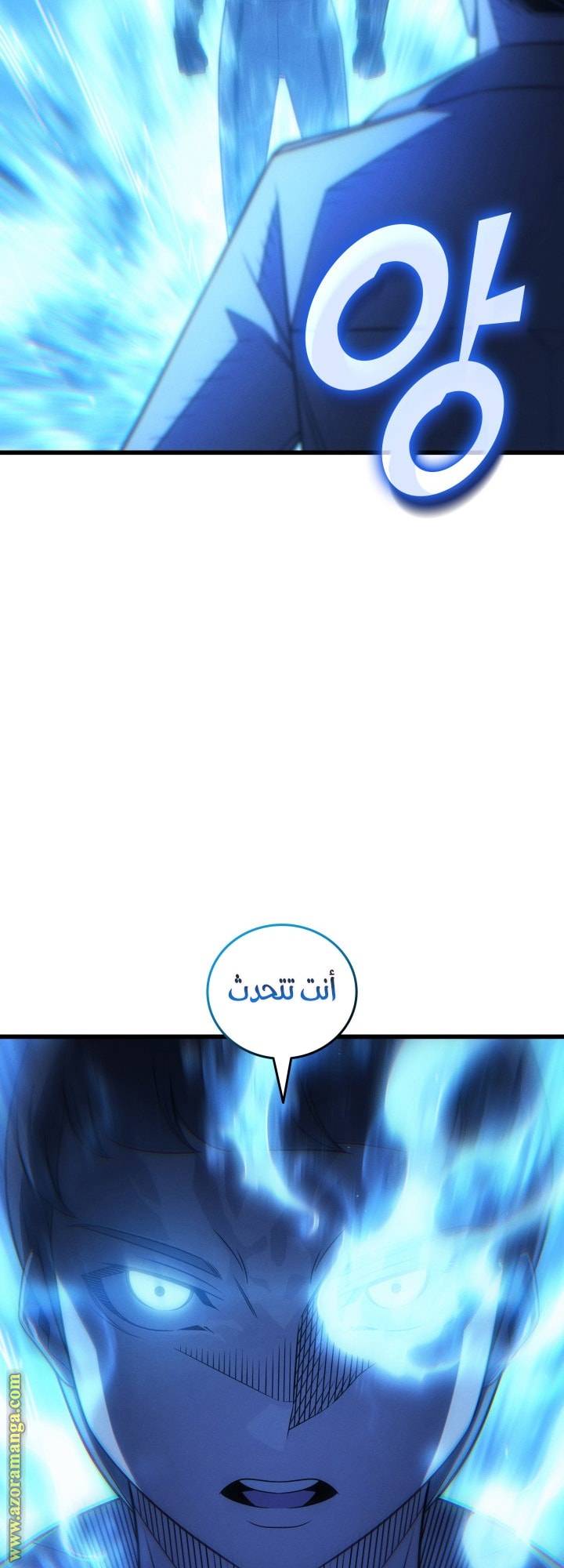 الصفحة 43