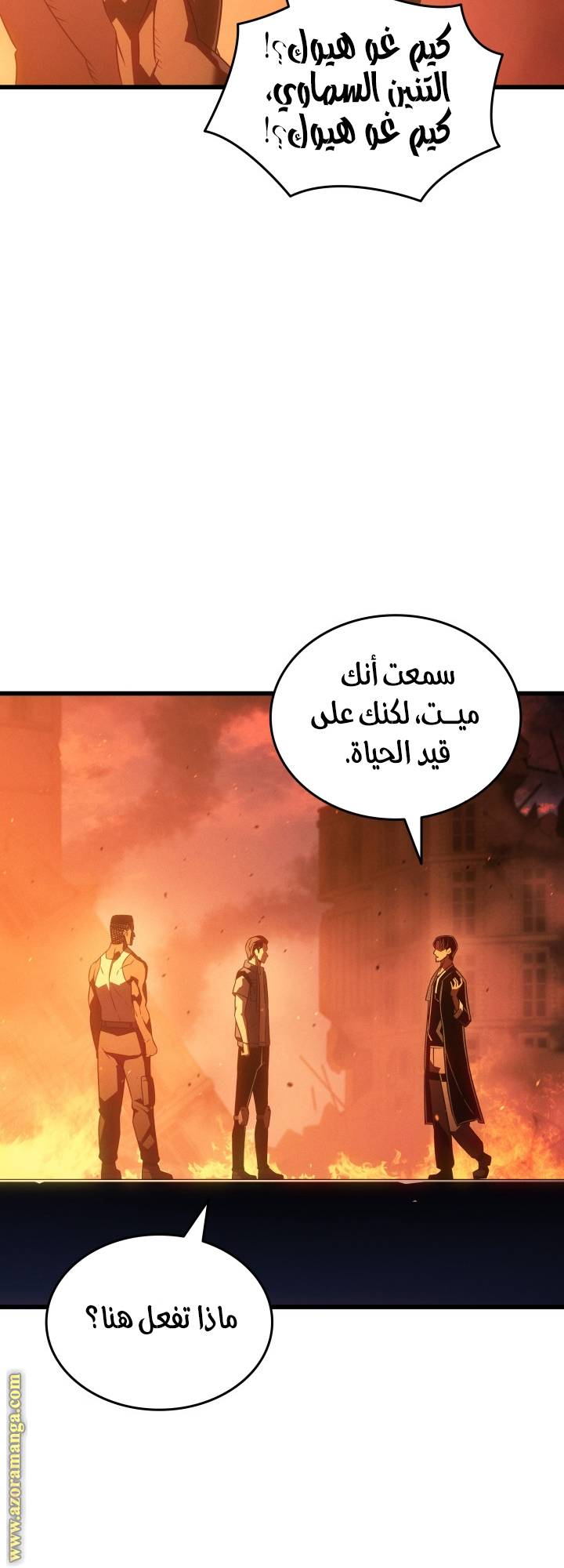 الصفحة 17