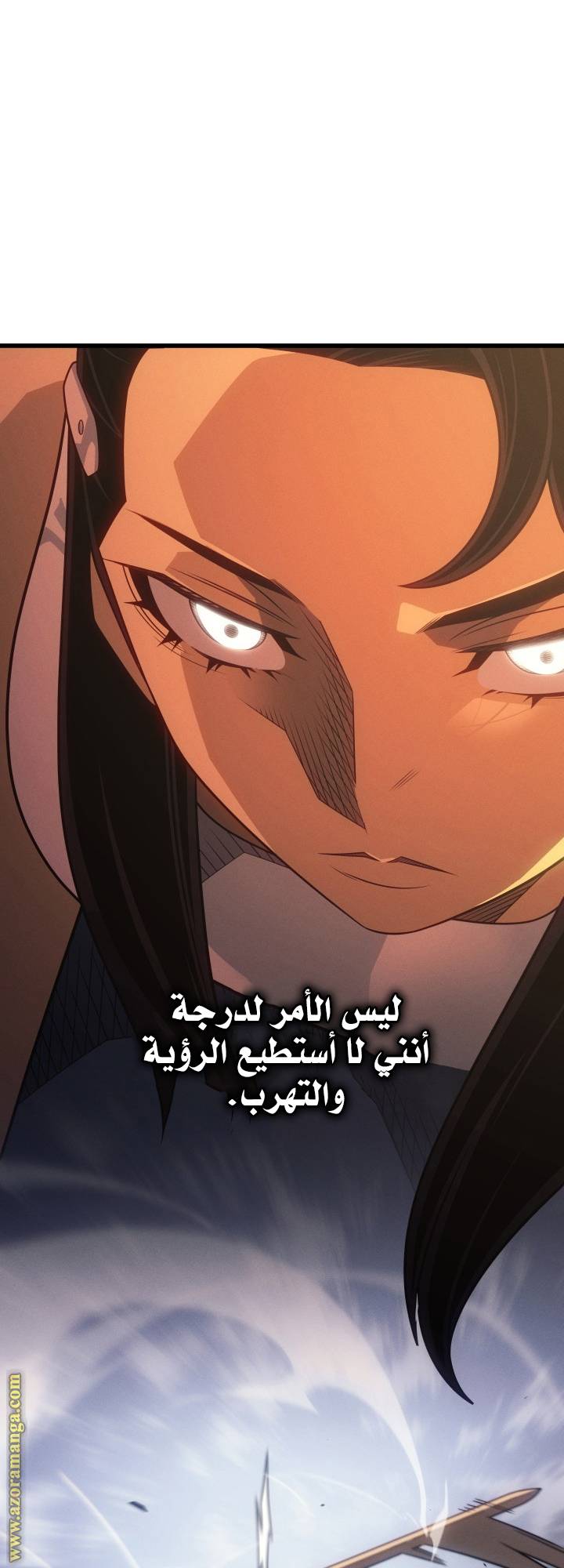 الصفحة 29