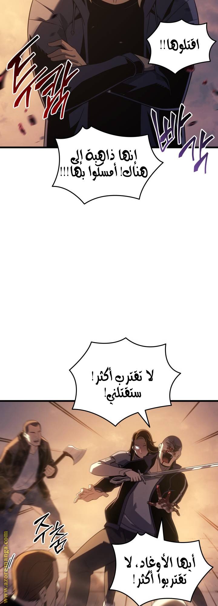 الصفحة 13