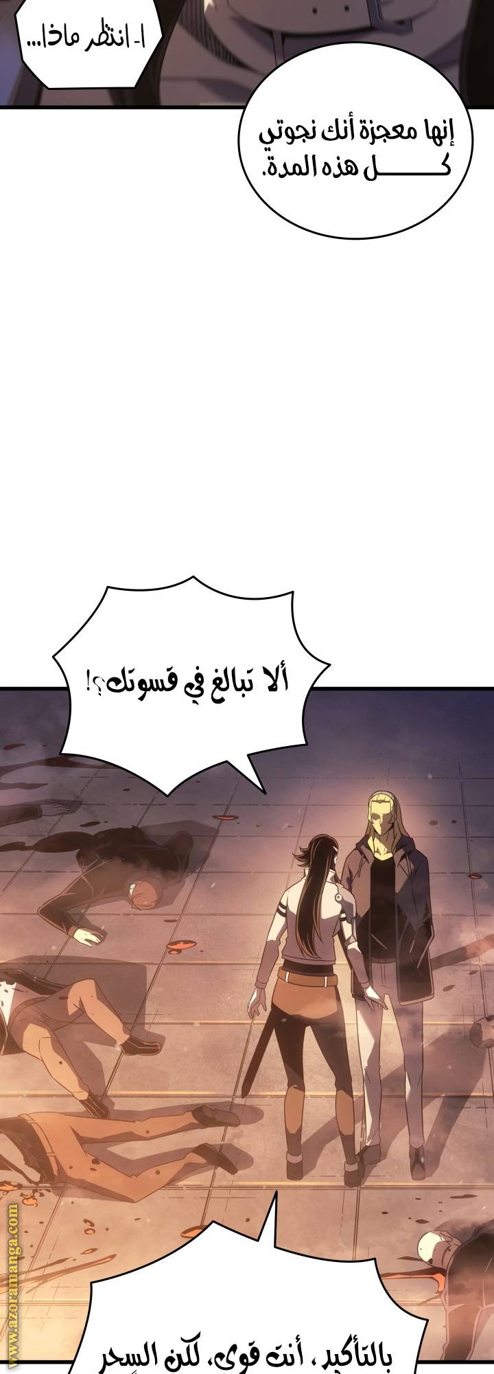 الصفحة 24