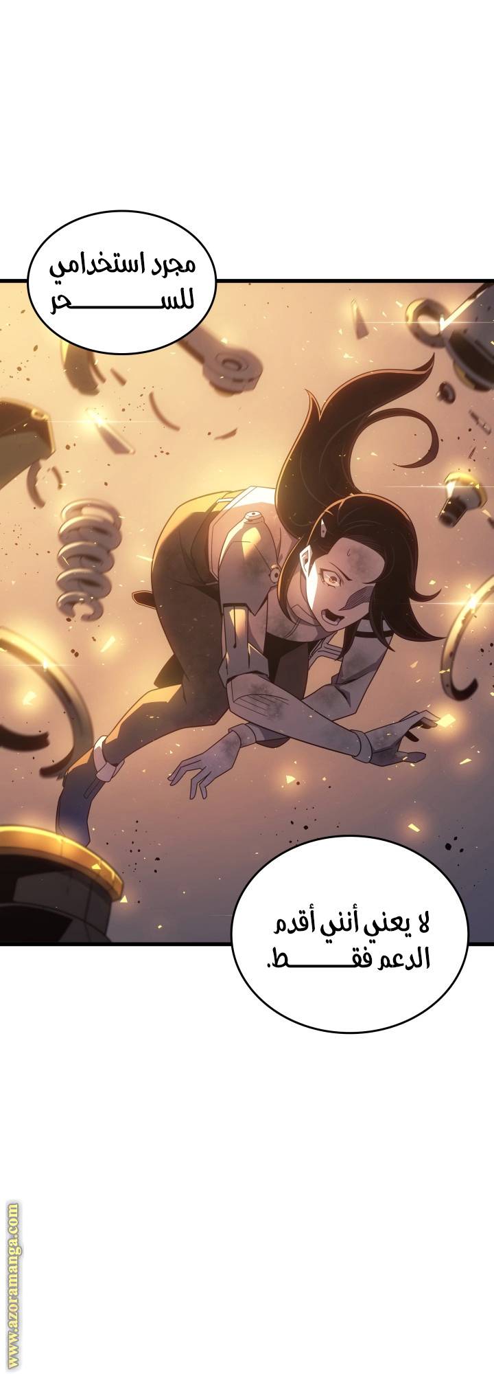 الصفحة 43