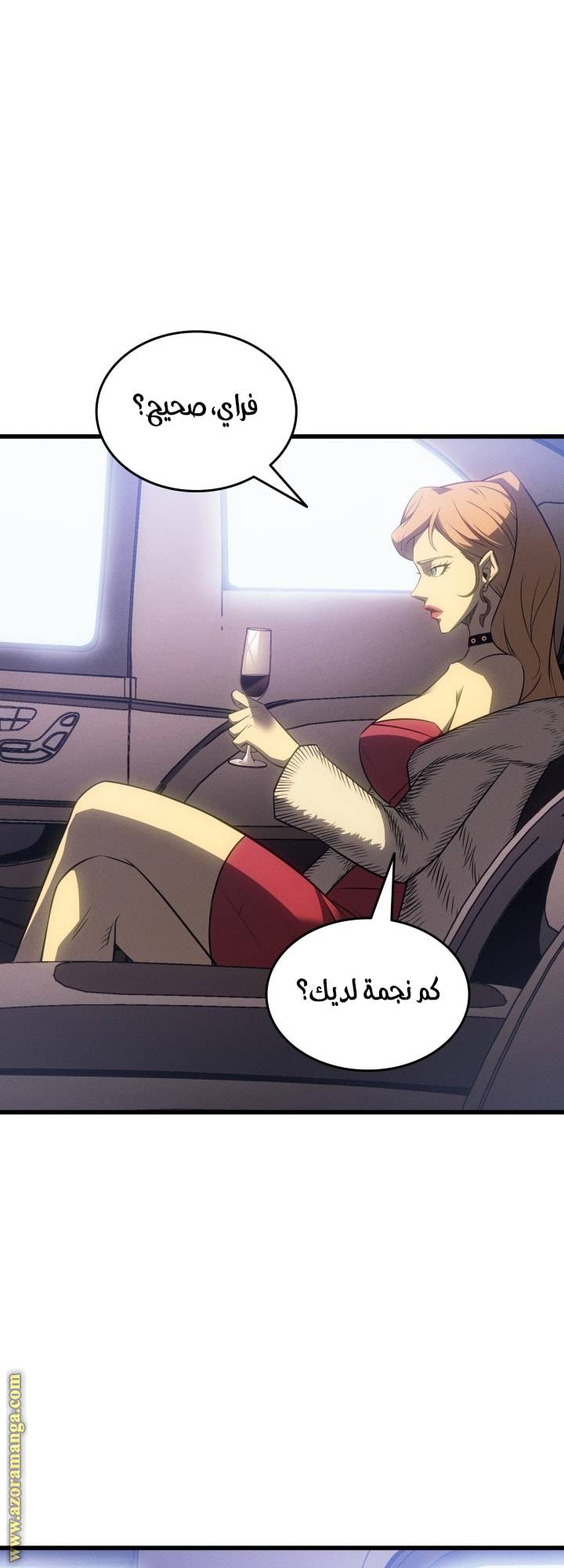الصفحة 48