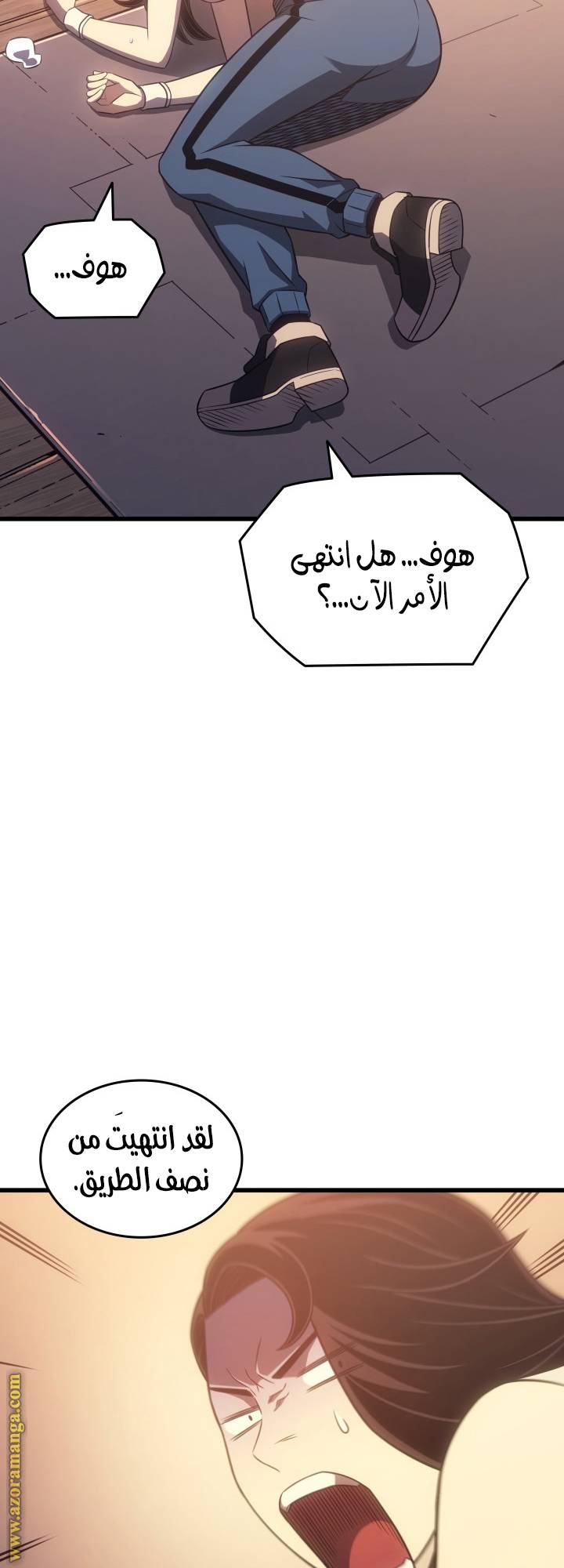 الصفحة 47