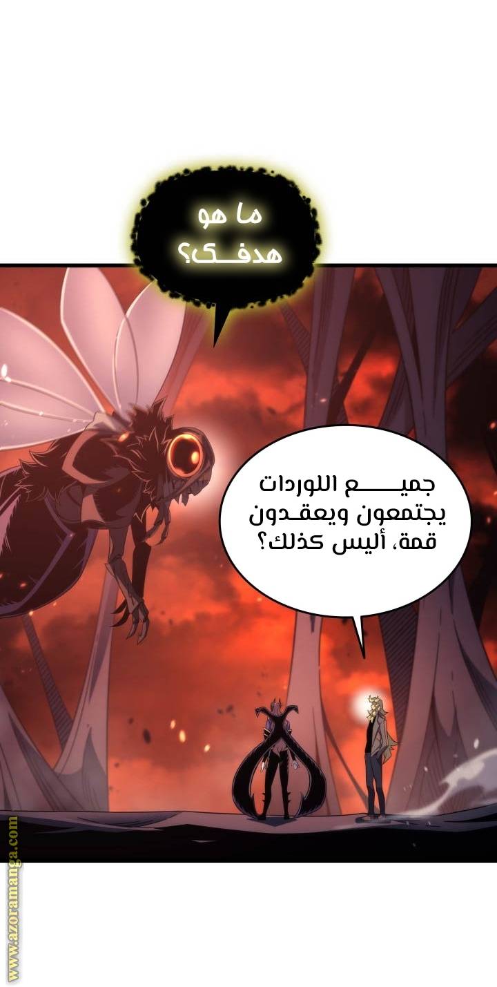 الصفحة 29