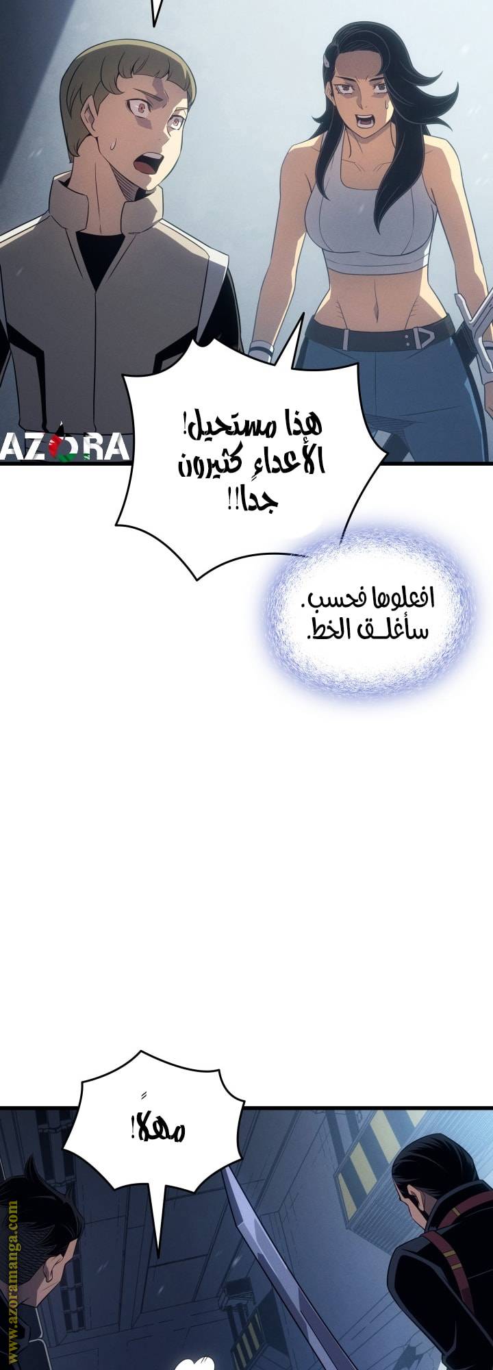 الصفحة 29