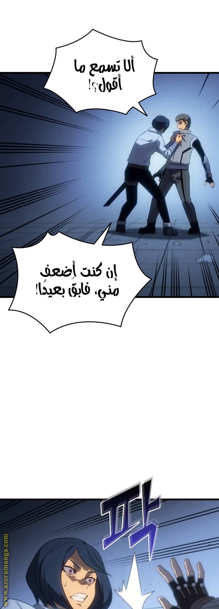 الصفحة 13