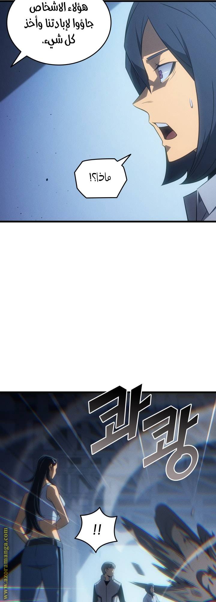 الصفحة 29