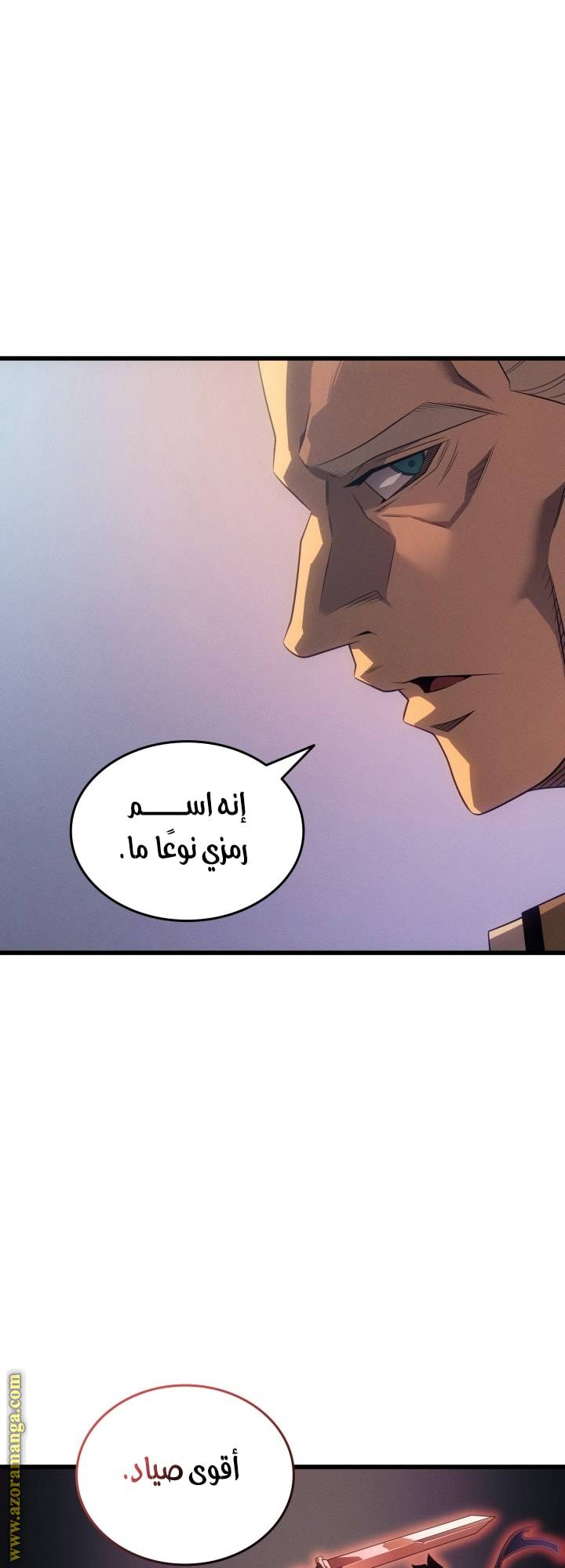 الصفحة 43