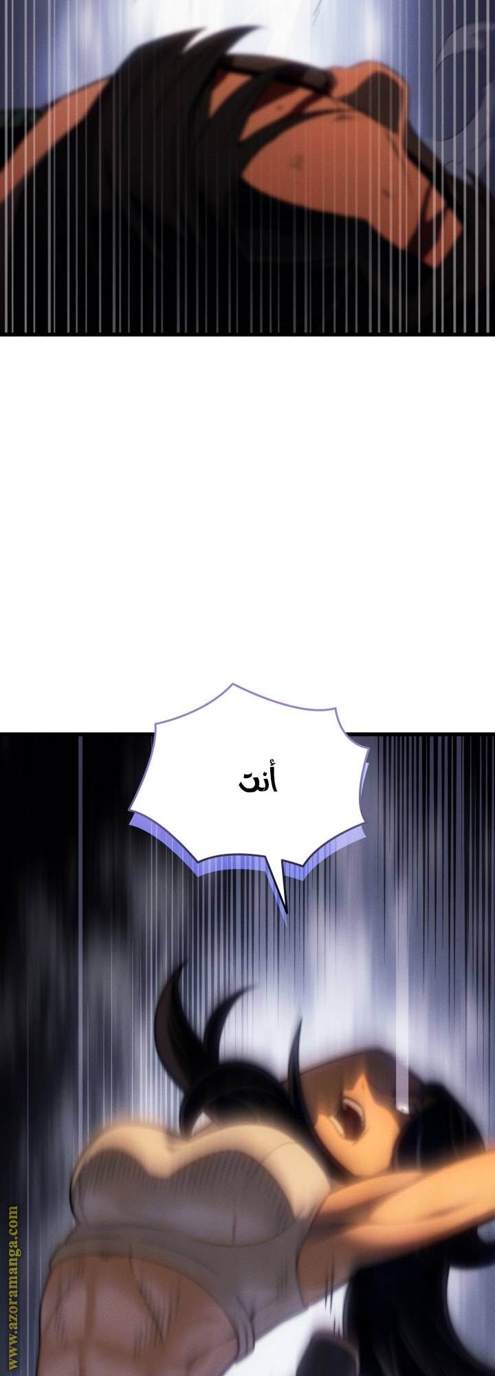 الصفحة 43