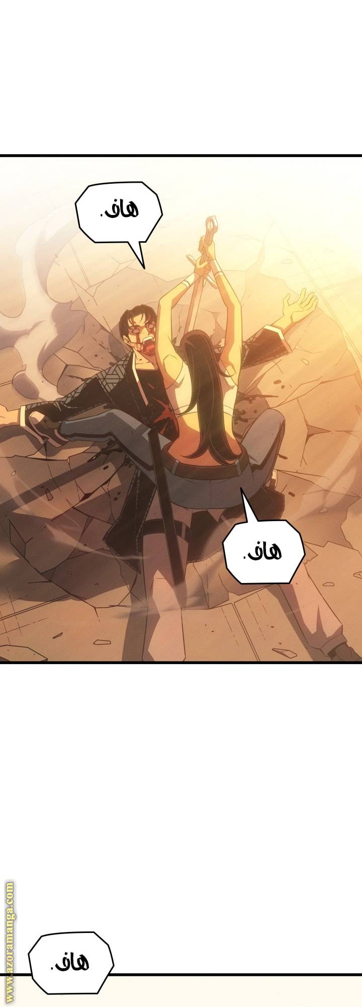 الصفحة 46