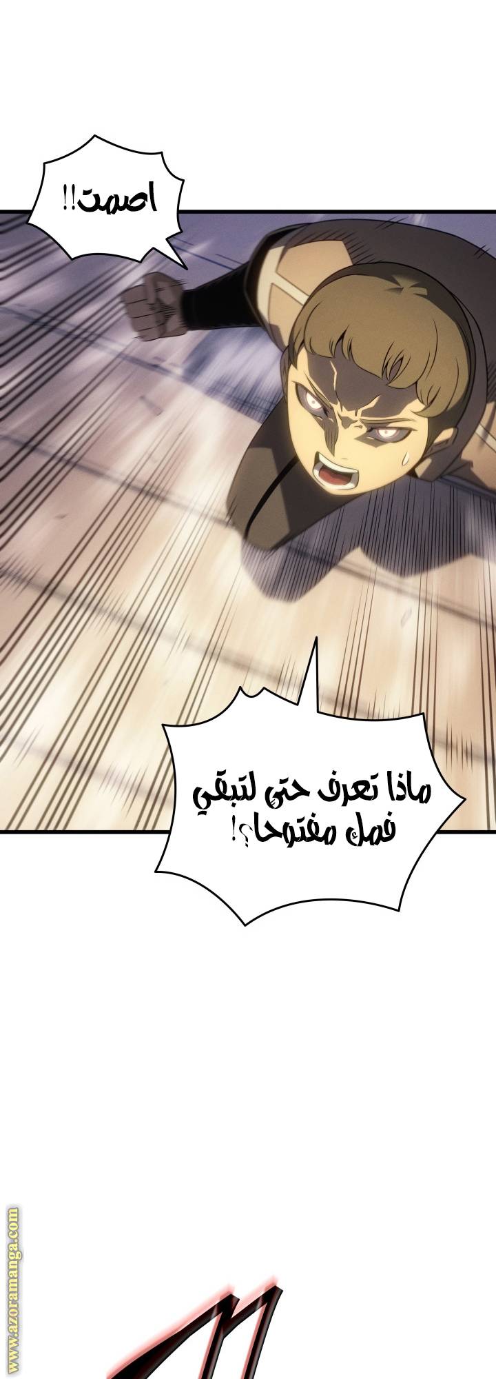 الصفحة 13