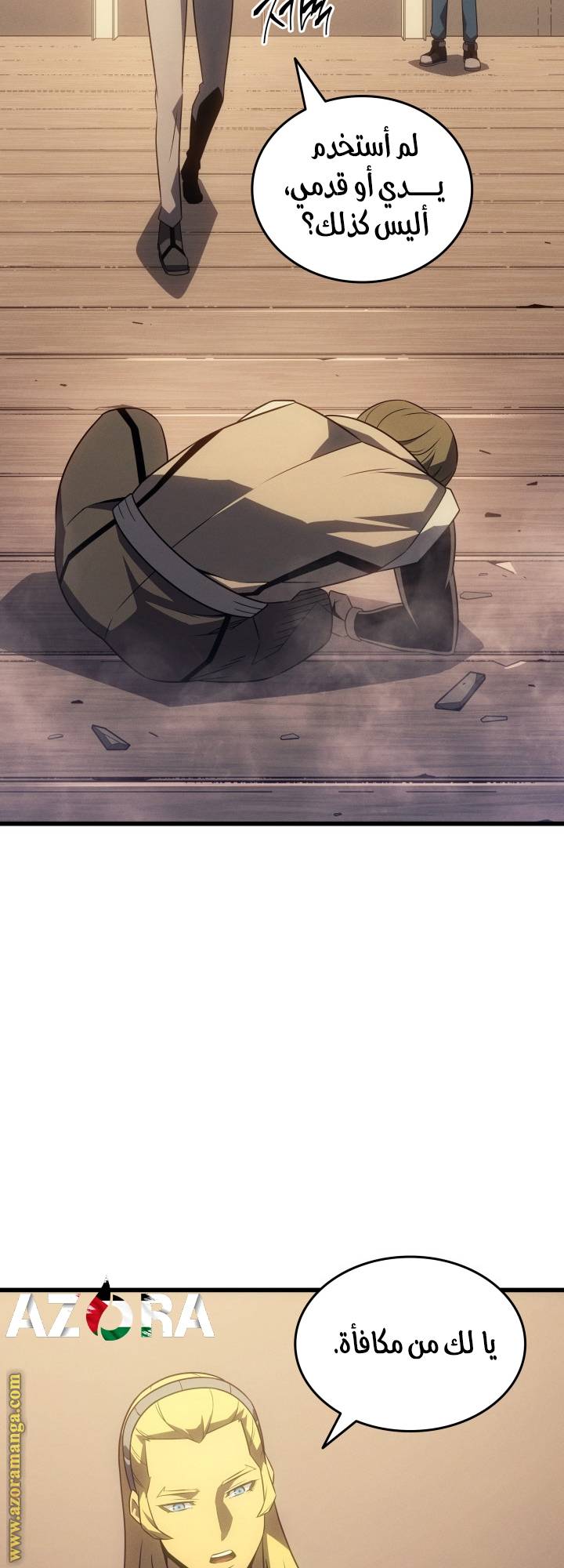 الصفحة 17